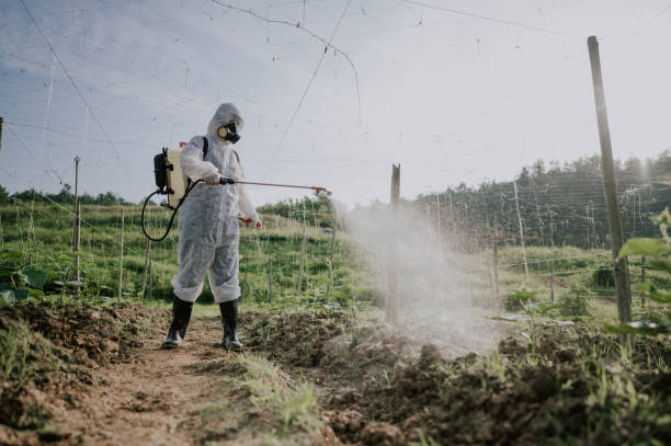 Best Mosquito Control Services  in Miami, AZ