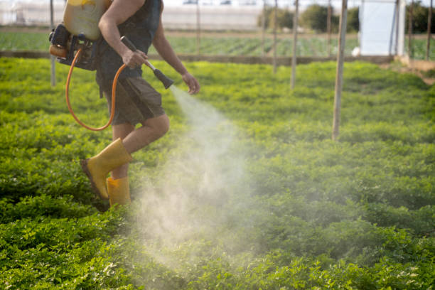 Pest Control for Restaurants in Miami, AZ