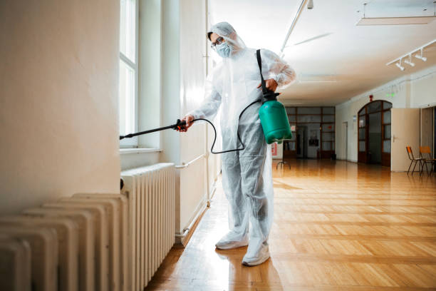 Best Flea Control Services  in Miami, AZ