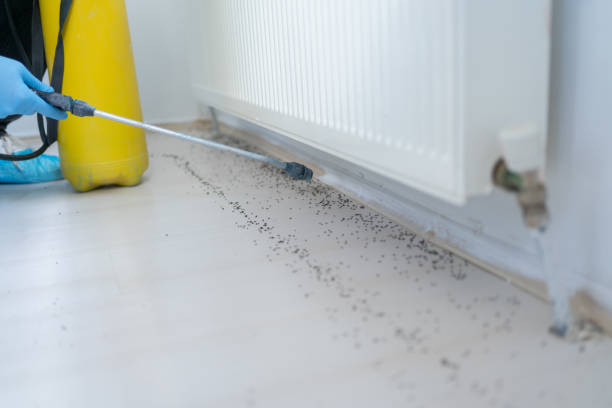 Best Emergency Pest Control  in Miami, AZ