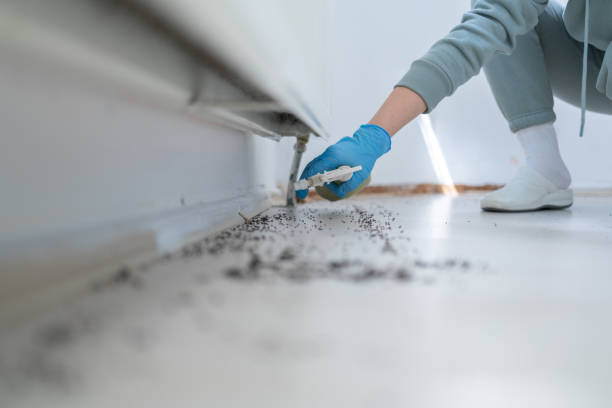 Best Exterminator Services  in Miami, AZ